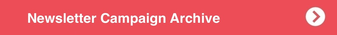 Newsletter Campaign Archive BANNER
